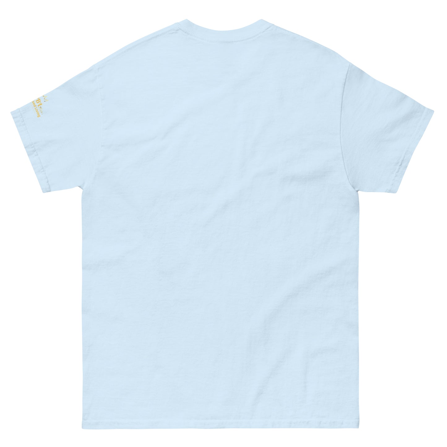 Kingdom Key Women's classic tee