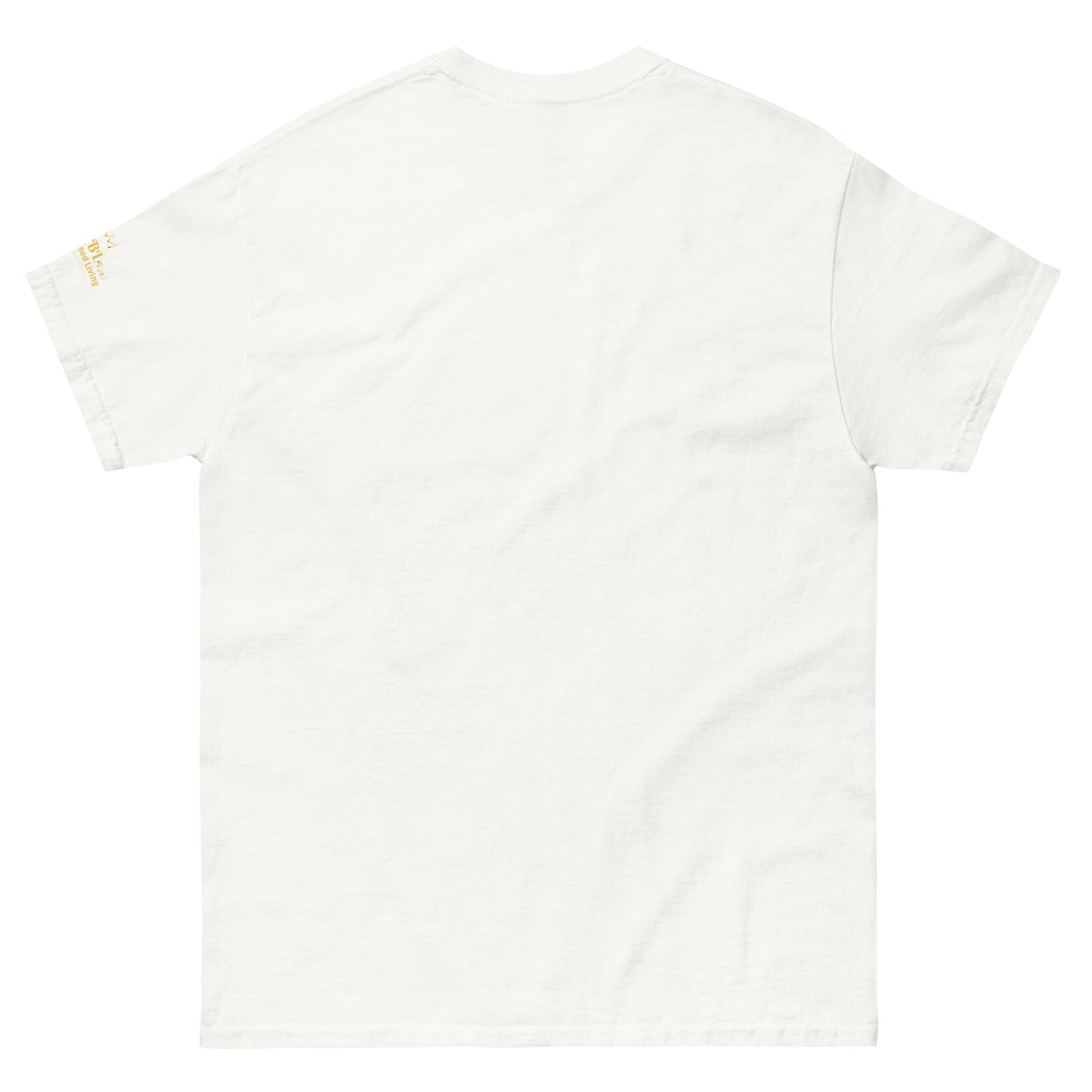 Kingdom Key Women's classic tee